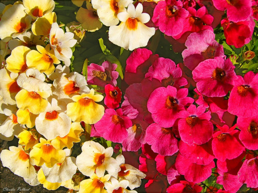 428079 (a): :1600x1200